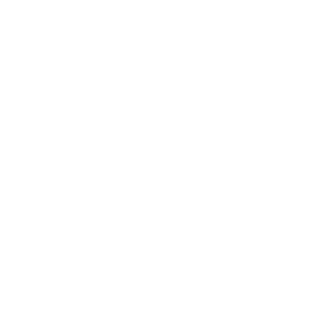 Logo PETVET 2027