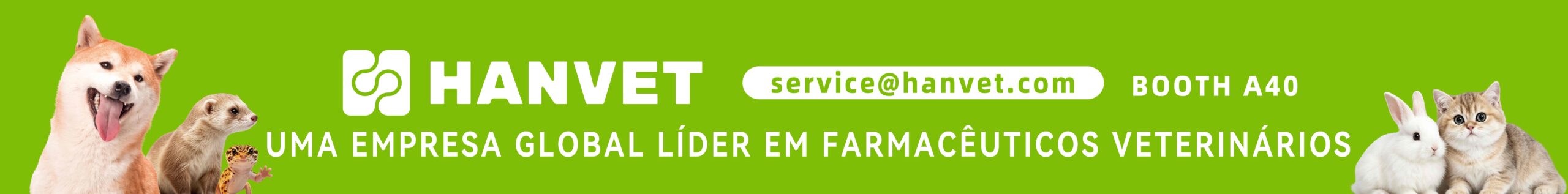 Acesse Hanvet