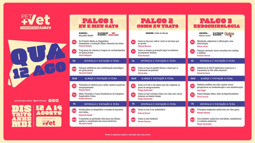 GRADE-PROGRAMACAO-07-08-2