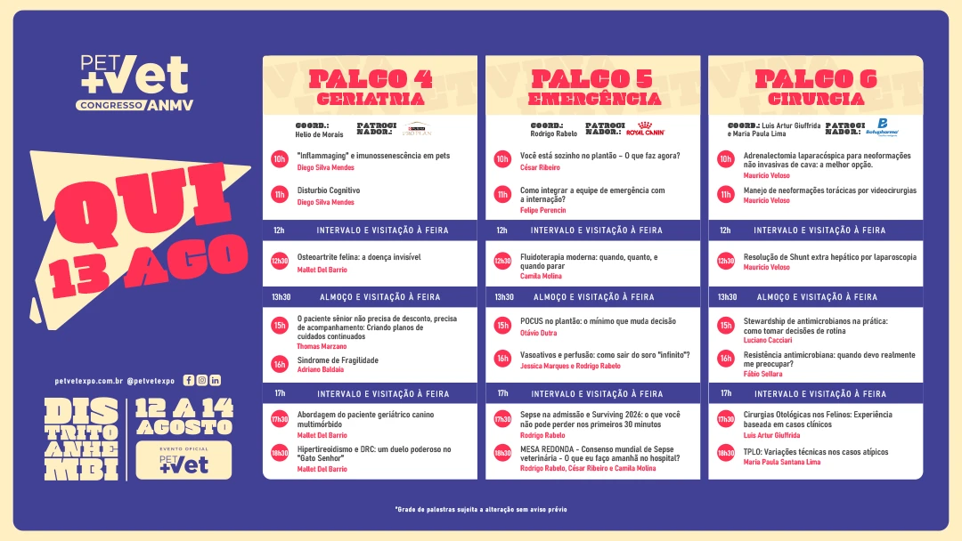 GRADE-PROGRAMACAO-07-08-5