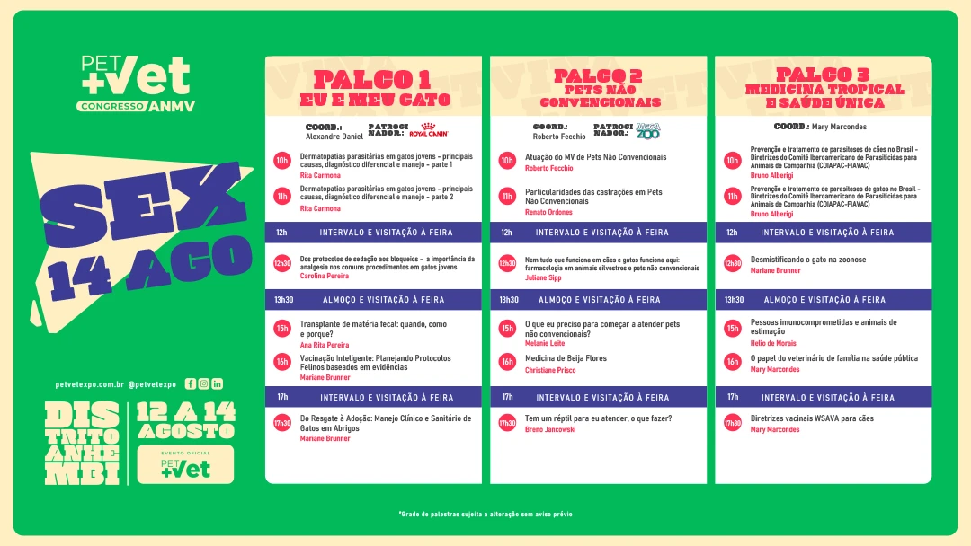 GRADE-PROGRAMACAO-07-08-6