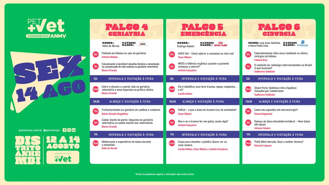 GRADE-PROGRAMACAO-07-08-7
